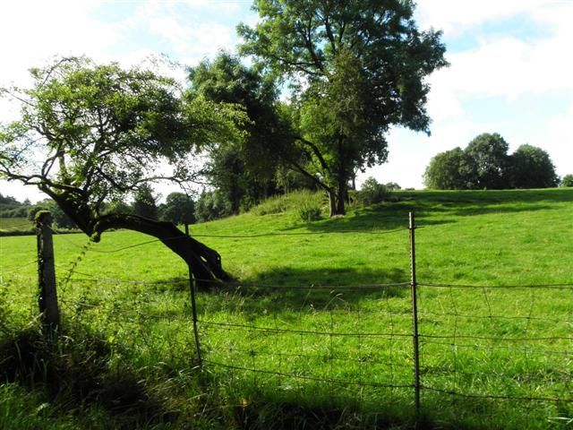 File:Tircahan Townland (geograph 3597245).jpg