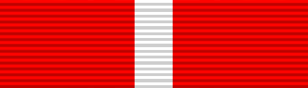 File:USA - WI Exceptional Achievement Ribbon.png