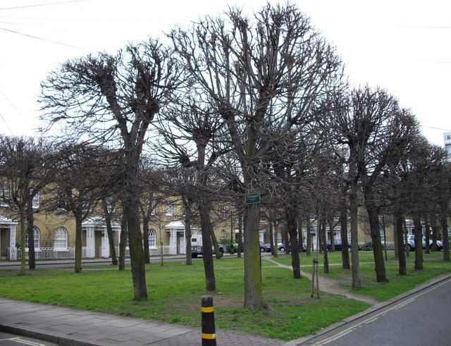 File:Courtenay Square - geograph.org.uk - 1182357.jpg