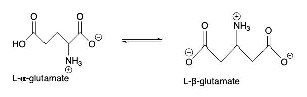 File:Glutamate 2,3 aminomutase reaction.png