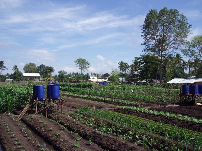 File:Kauswagan Allotment Garden.JPG