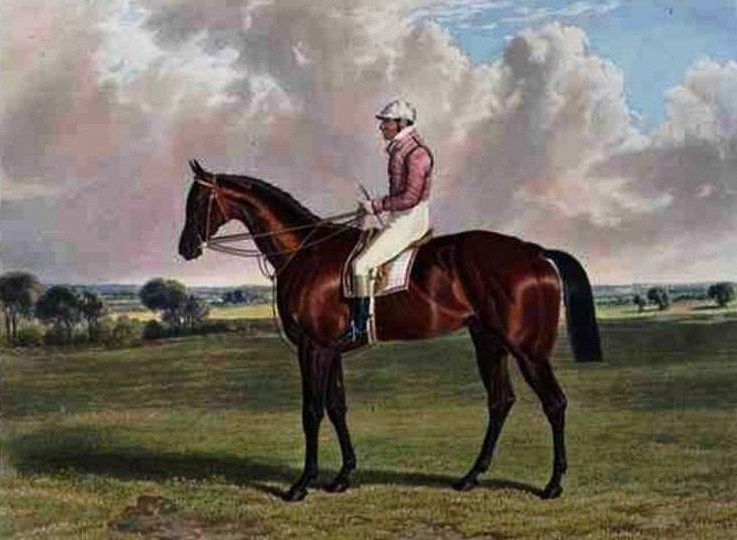 File:Little Wonder Derby winner.jpg