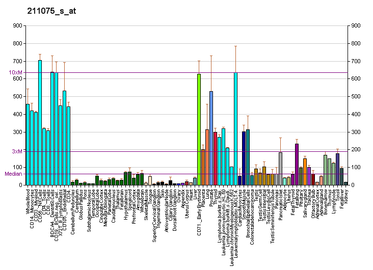 File:PBB GE CD47 211075 s at fs.png