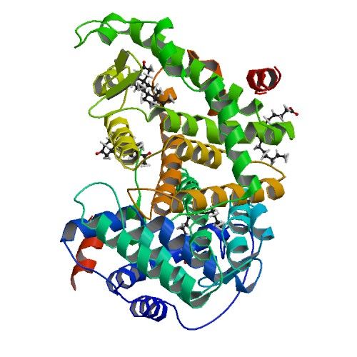 File:PBB Protein NR1I3 image.jpg