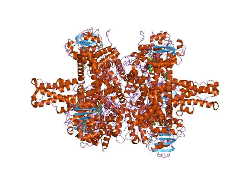 File:PDB 1hwz EBI.jpg