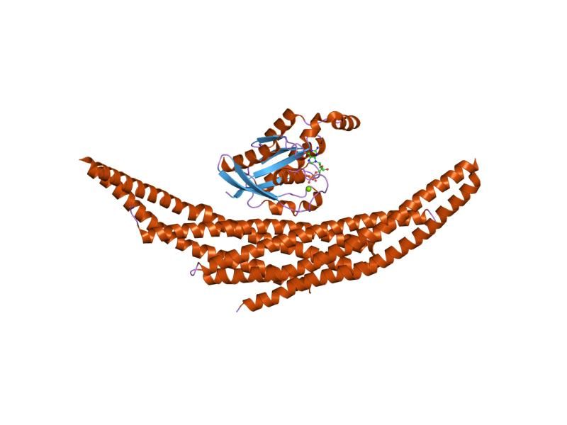 File:PDB 1i4d EBI.jpg