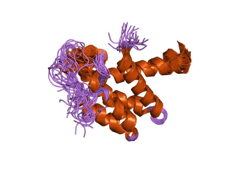 File:PDB 1pd7 EBI.jpg