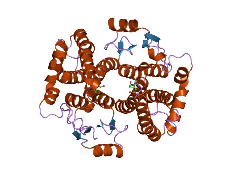 File:PDB 1pkz EBI.jpg