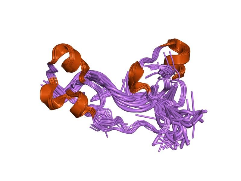 File:PDB 1rgo EBI.jpg