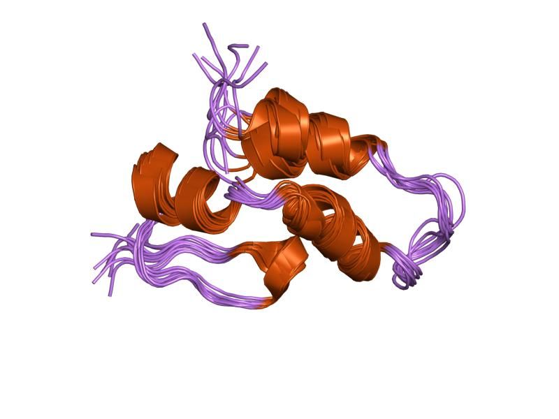 File:PDB 1uw2 EBI.jpg