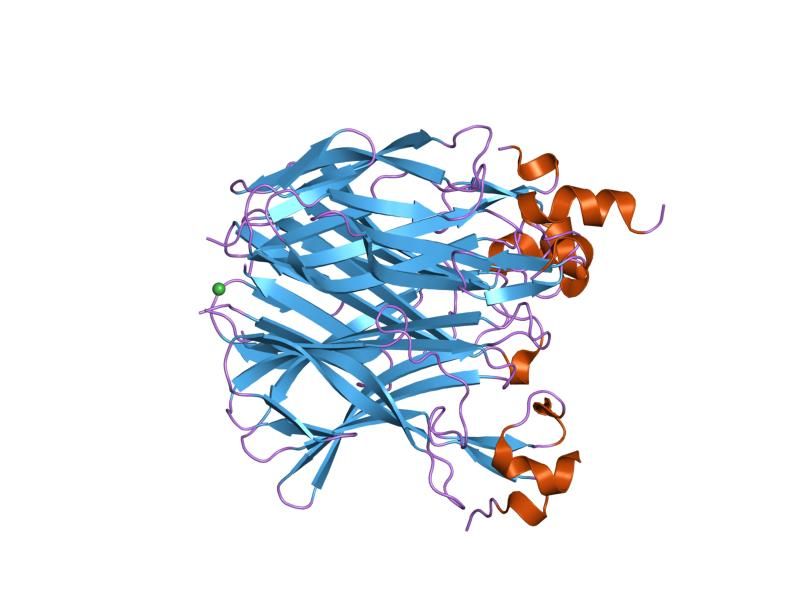 File:PDB 1xu1 EBI.jpg