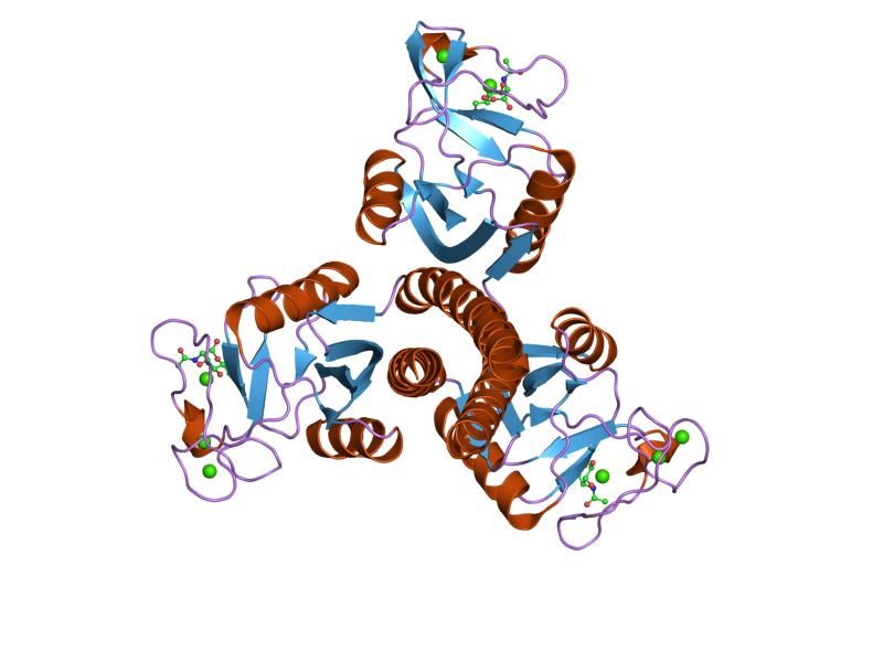 File:PDB 2orj EBI.jpg