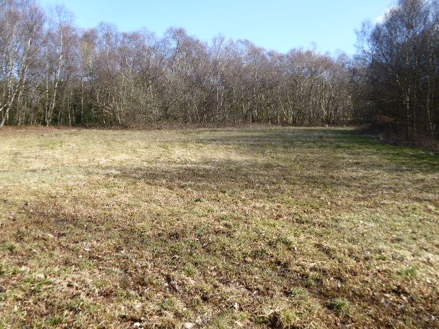 File:Paines Cross Meadow (2).jpg