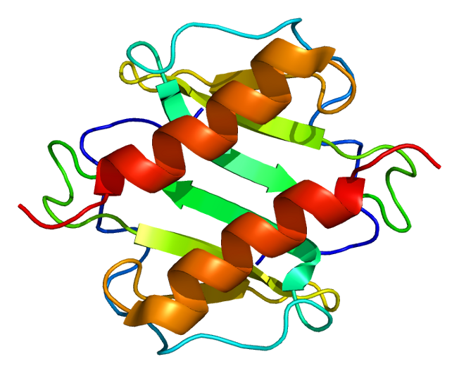 File:Protein CXCL1 PDB 1mgs.png