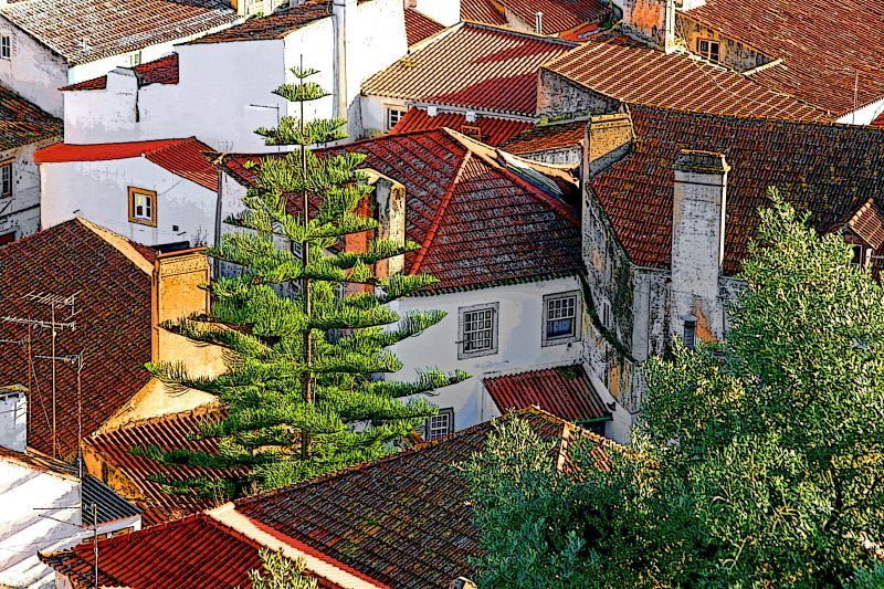 File:Red Roofs (2194078506).jpg