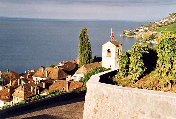 File:Saint-Saphorin Lavaux.jpg