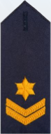 File:Senior Constable (Q) TASPOL.png