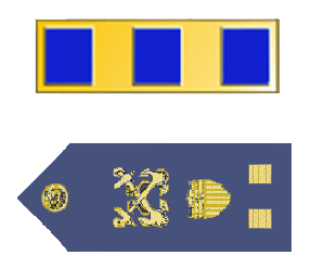 File:USCG - CWO2.png