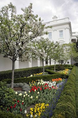 File:White House Rose Garden.jpg