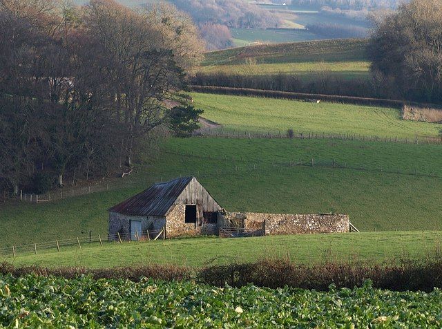 File:Wood's Barn - geograph.org.uk - 1630054.jpg