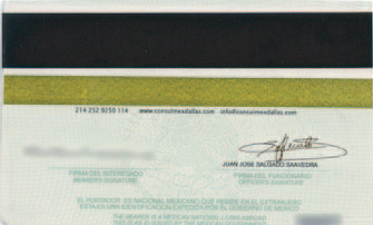 File:High-Security Mexican CID Card (back).png