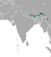 File:Himalayan Shrew area.png