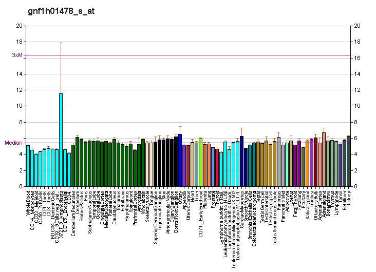 File:PBB GE ECT2 gnf1h01478 s at fs.png