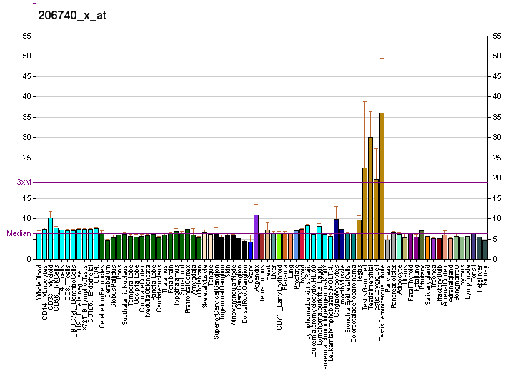 File:PBB GE SYCP1 206740 x at fs.png