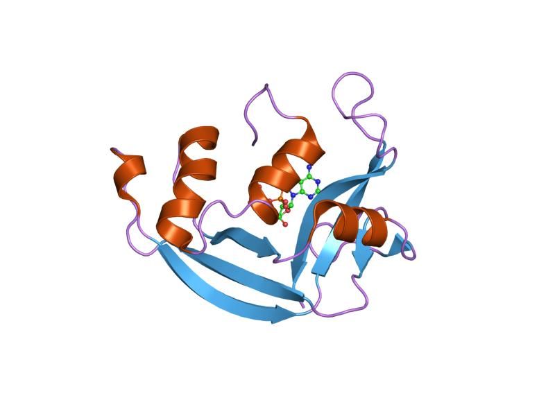 File:PDB 1hi3 EBI.jpg