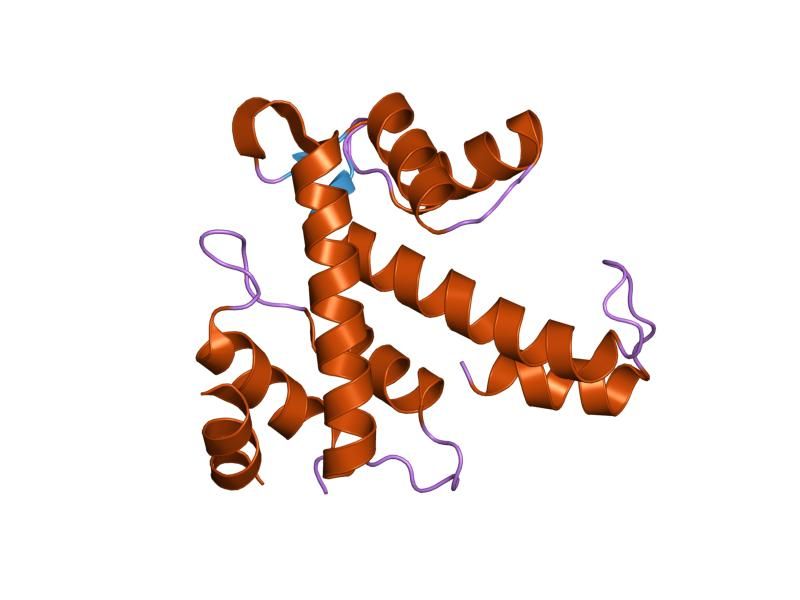 File:PDB 1k95 EBI.jpg