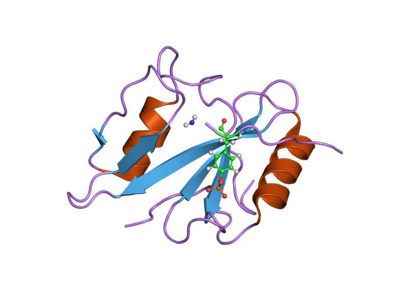 File:PDB 1ka6 EBI.jpg