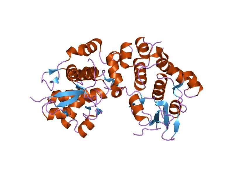 File:PDB 1lm5 EBI.jpg