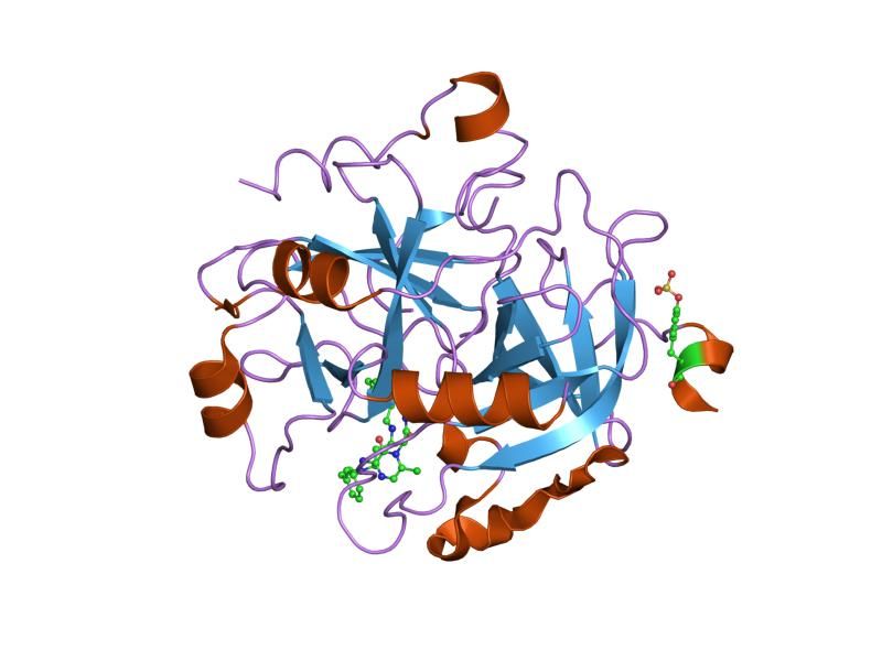 File:PDB 1nm6 EBI.jpg