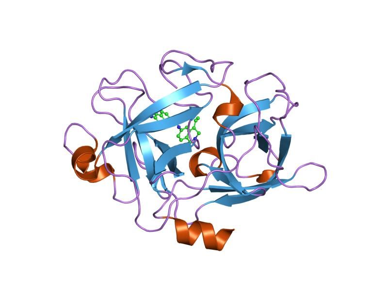 File:PDB 1owd EBI.jpg