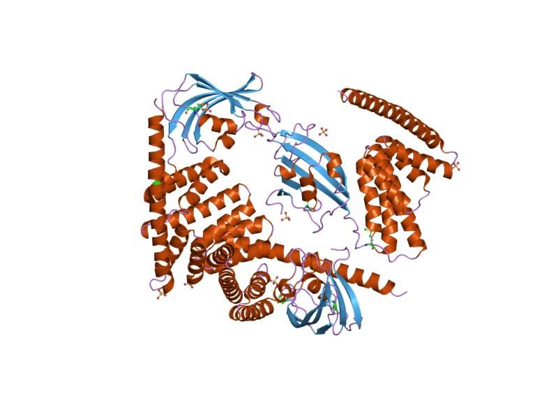 File:PDB 1p5q EBI.jpg