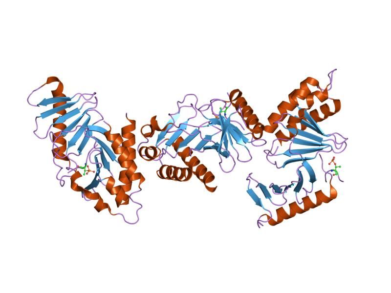 File:PDB 1q4k EBI.jpg