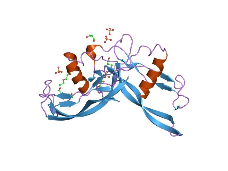 File:PDB 2arv EBI.jpg