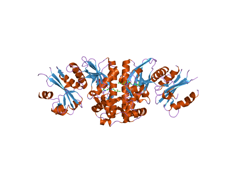 File:PDB 2i7n EBI.png