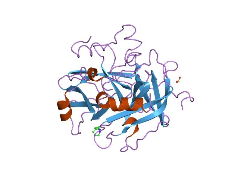 File:PDB 3hat EBI.jpg