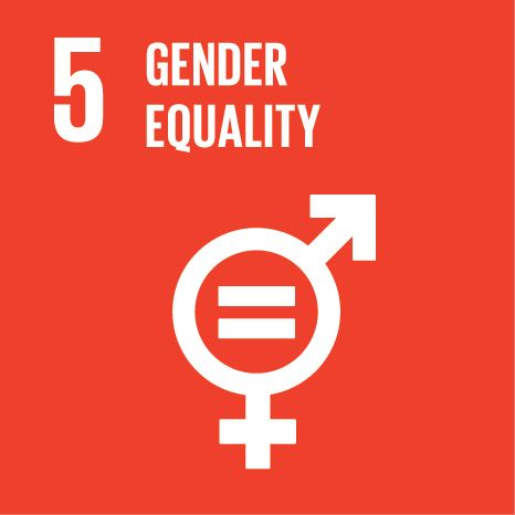 File:SDG 5.jpg