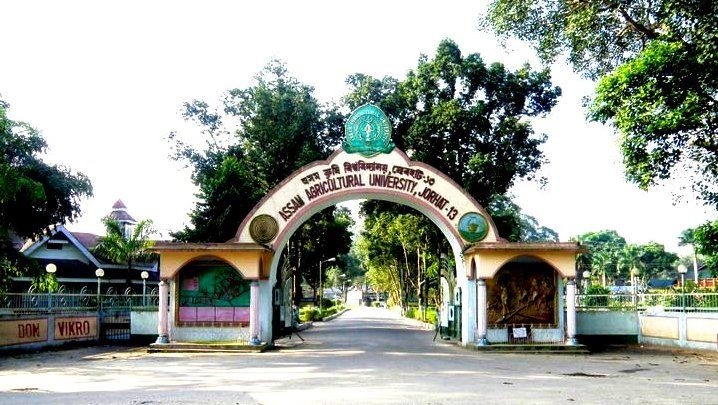 File:Assam Agriculture University.jpg