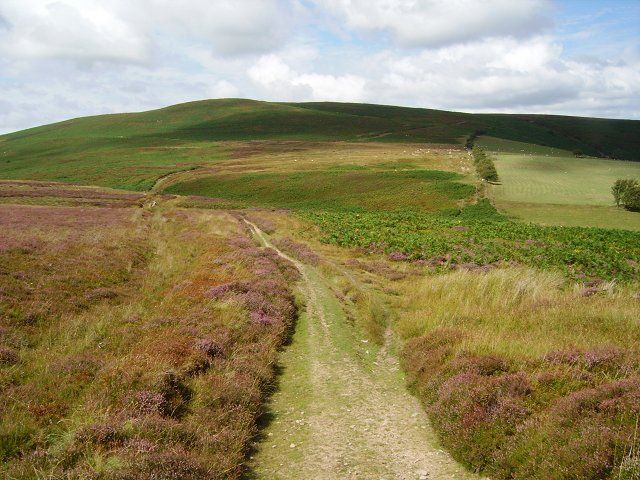 File:Beacon Hill - geograph.org.uk - 232417.jpg