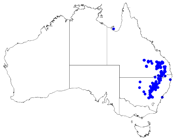 File:Boronia glabra DistMap50.png