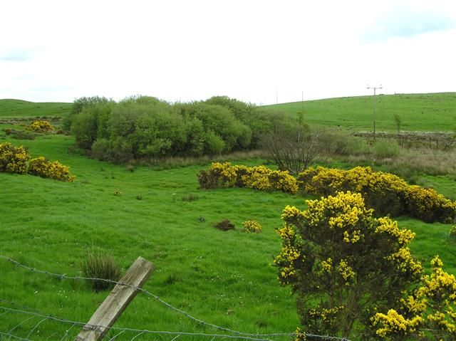 File:Doocrock Townland - geograph.org.uk - 429455.jpg