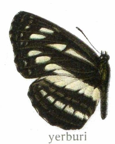 File:Neptisyerburyi.jpg