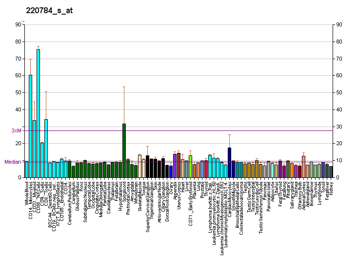 File:PBB GE UTS2 220784 s at fs.png