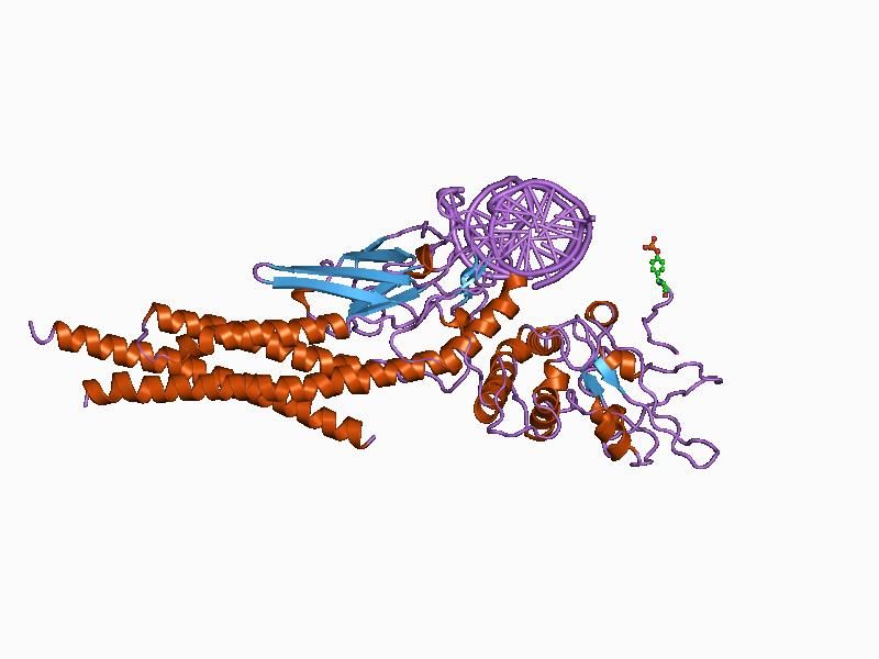 File:PDB 1bf5 EBI.jpg