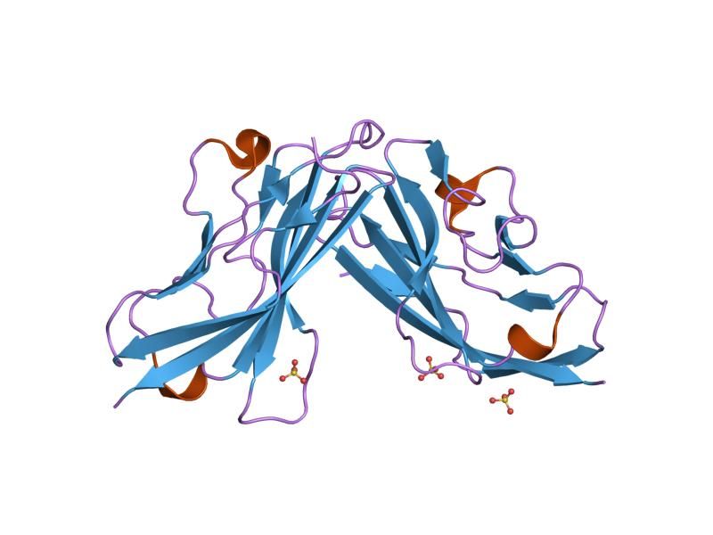 File:PDB 1f5w EBI.jpg