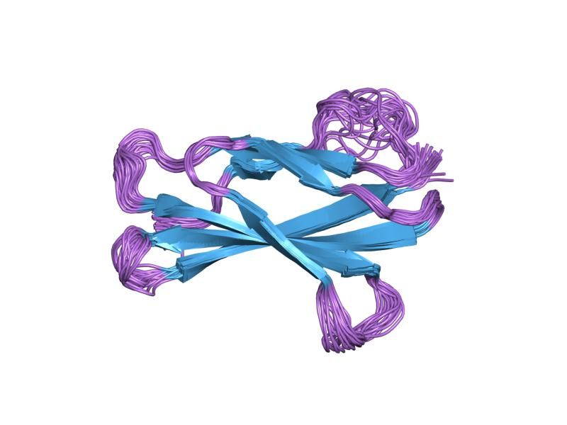 File:PDB 1oww EBI.jpg