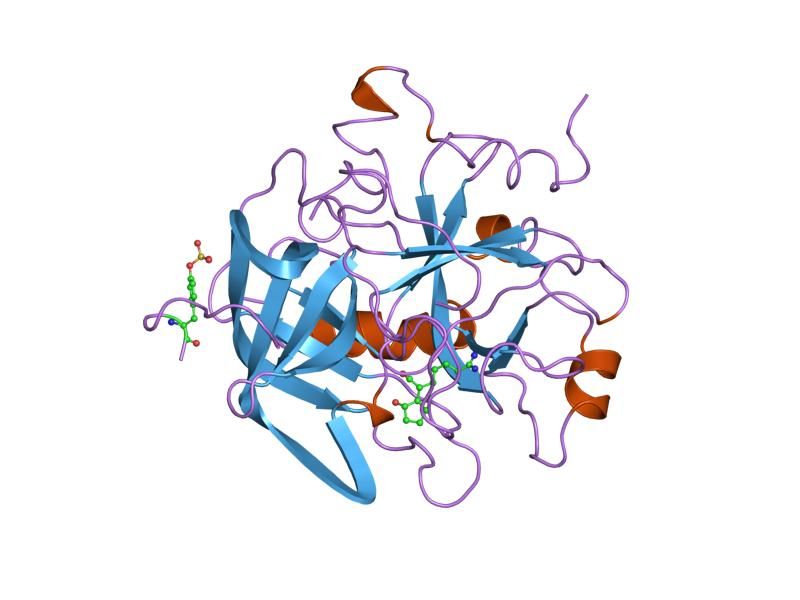 File:PDB 1qhr EBI.jpg